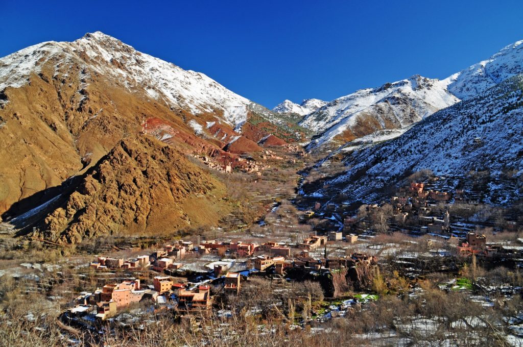 DSC_0834 (Kopiowanie)