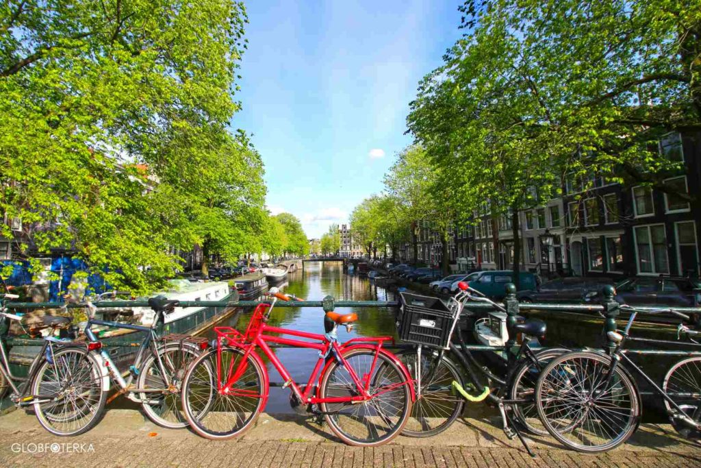 Aktualne ceny w Amsterdamie i praktyczne rady