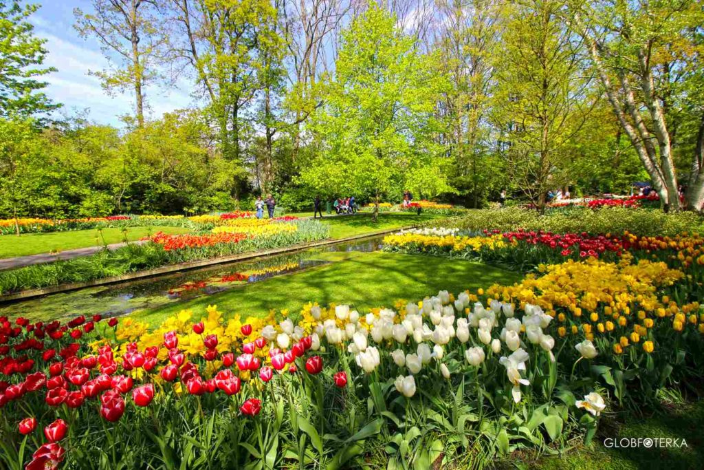 Ogród Keukenhof w Holandii
