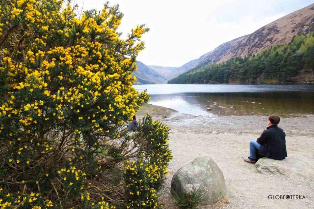 Jezioro Upper Lake w Glendalough