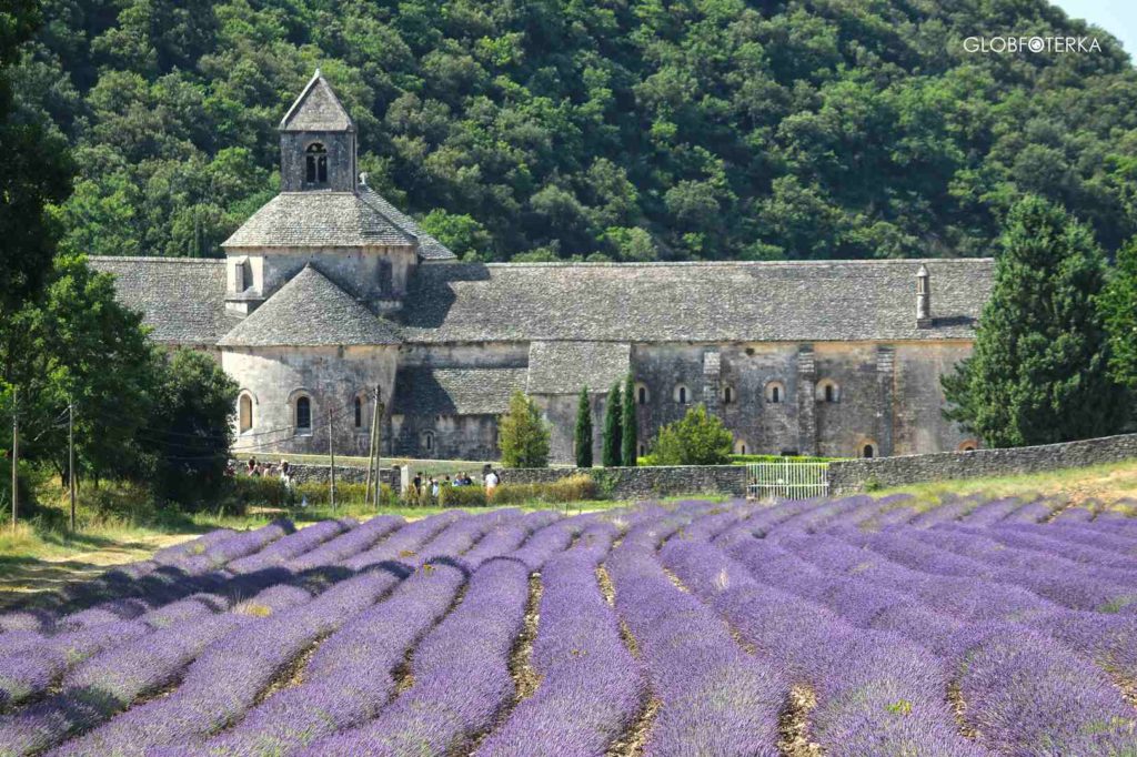 Opactwo Abbaye de Senanque Prowansja pola lawendy